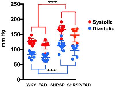 A Novel Model of Mixed Vascular Dementia Incorporating Hypertension in a Rat Model of Alzheimer’s Disease